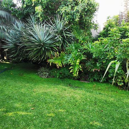 Mulberry Gardens Self Catering Apartamento Swakopmund Exterior foto